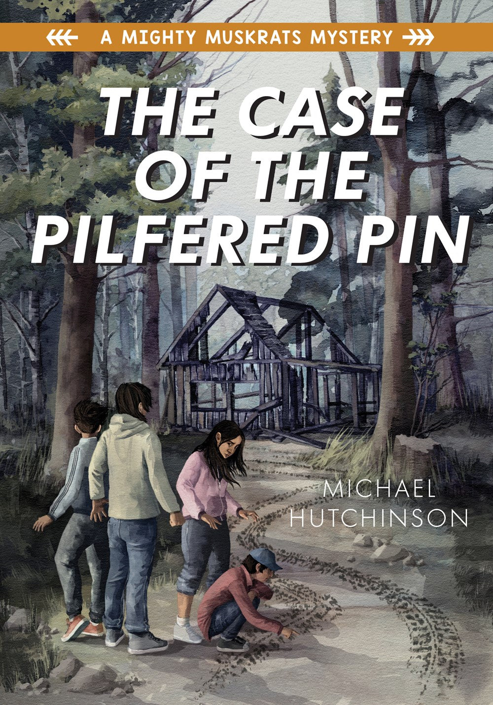 The Case Of The Pilfered Pin