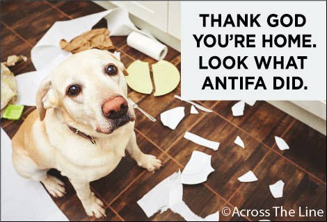 Thank God You're home, Look at what Antifa did! Magnet