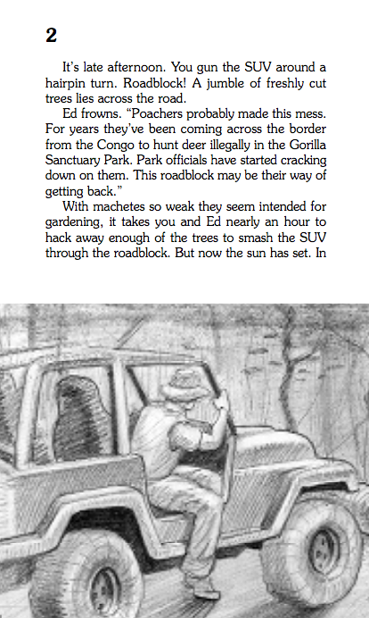 Search For The Mountain Gorillas, Children's Book