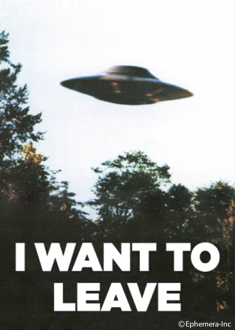 I want to leave (UFO) Magnet