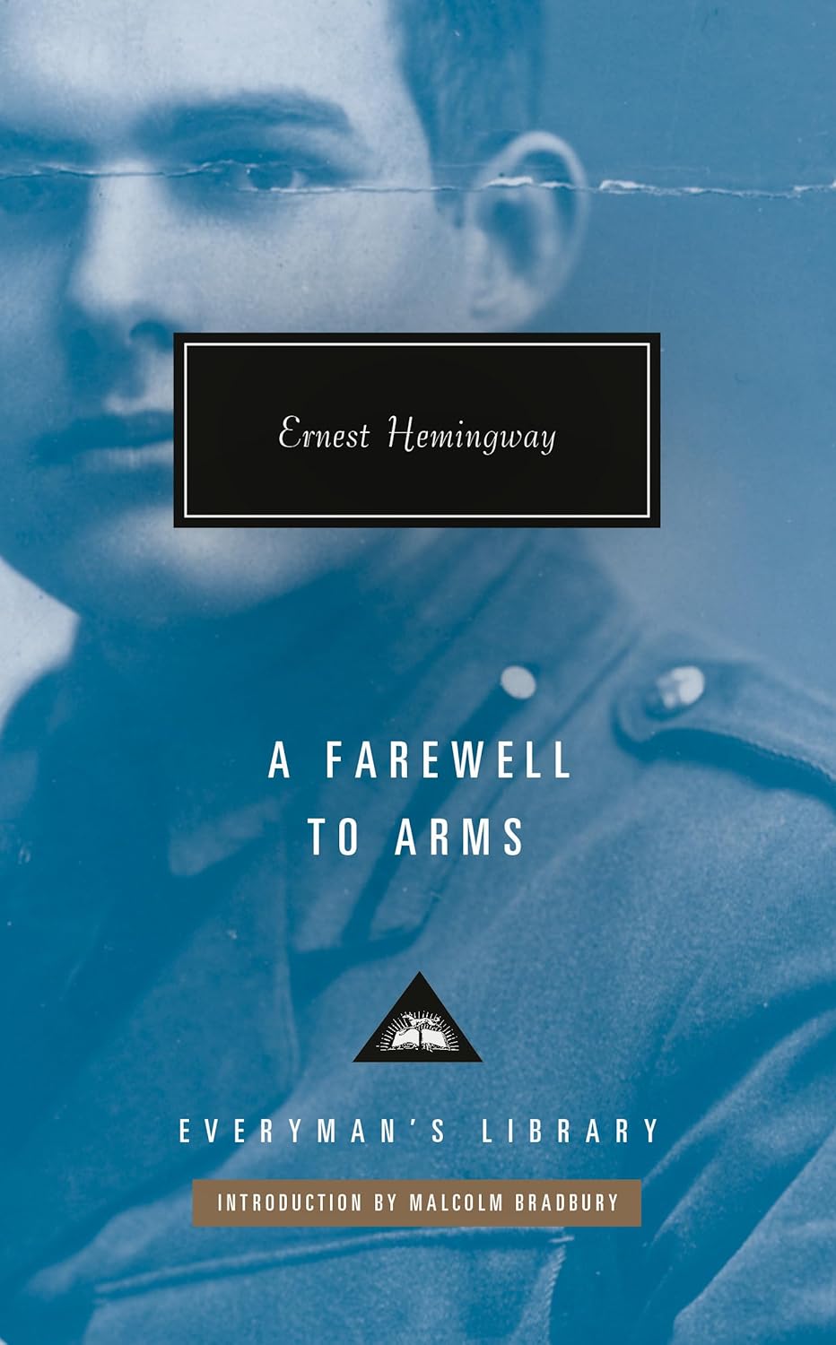 A Farewell To Arms (Hardcover)