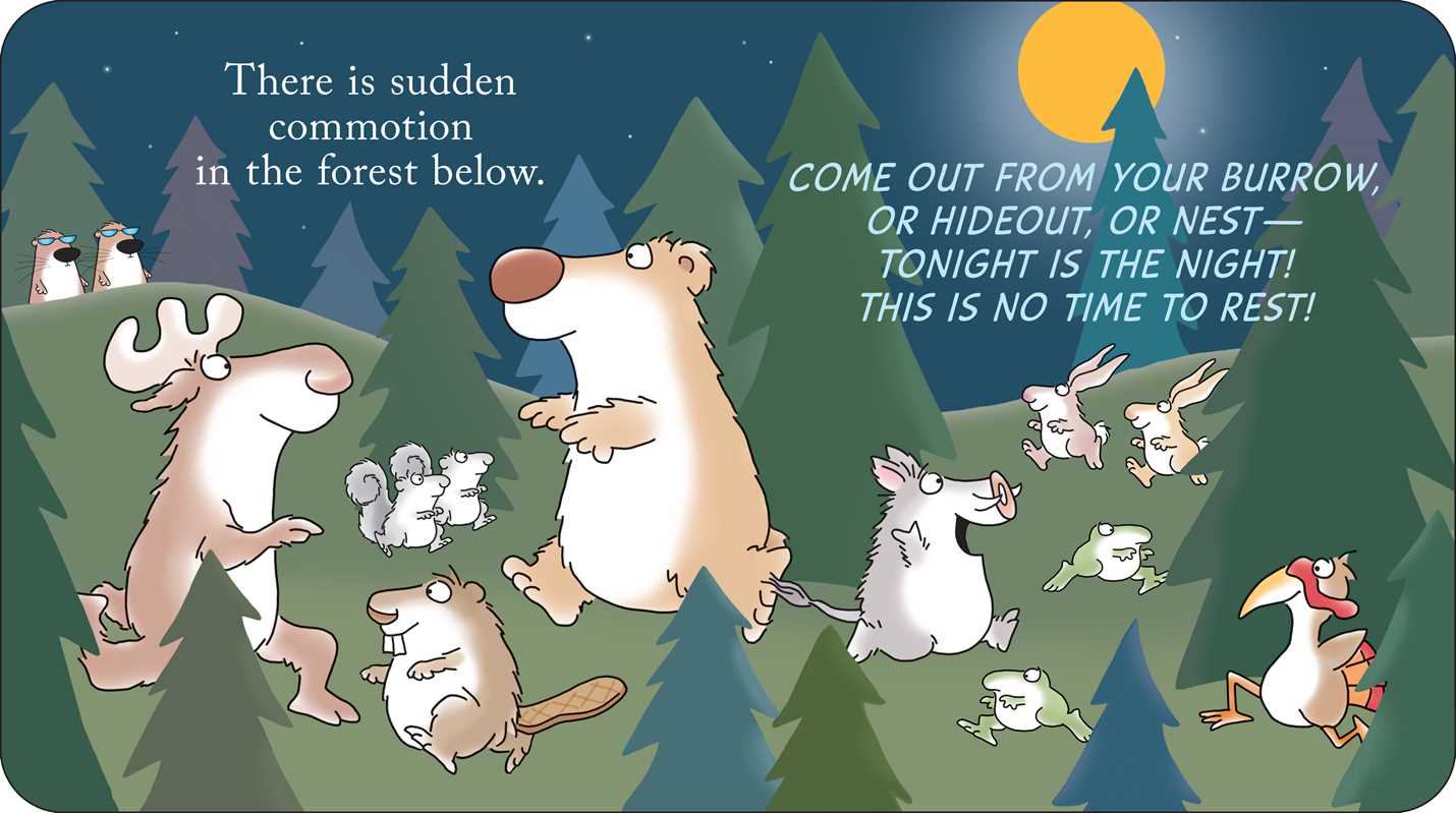 Woodland Dance! by Sandra Boynton: Board Book