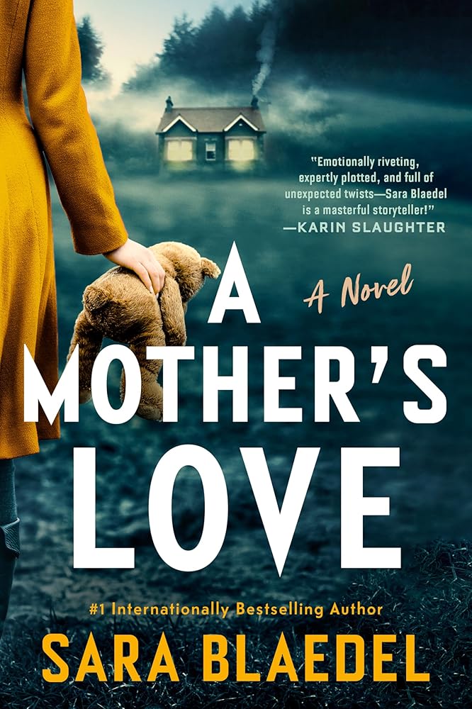 A Mother's Love: A Novel cover image