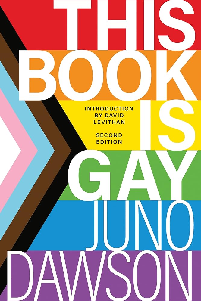 This Book Is Gay cover image